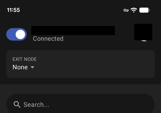 Tailscale app on the phone, toggled on and connected